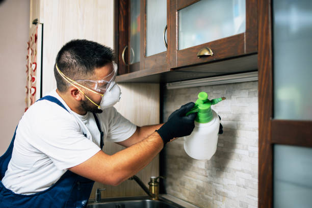 Professional Pest Control in Ontario, OH