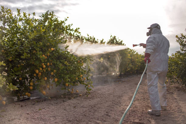Best Pest Inspection Near Me  in Ontario, OH
