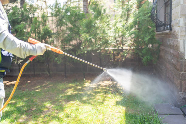 Best Wasp Removal Services  in Ontario, OH