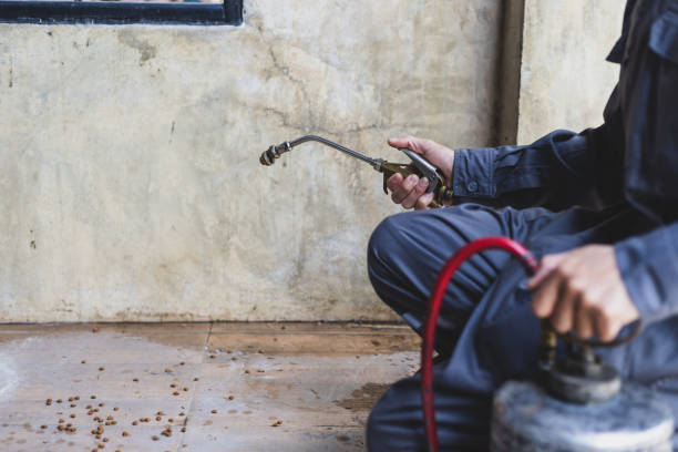Best Mosquito Control Services  in Ontario, OH